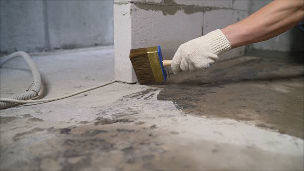 Top rated local Basement Waterproofing specialists in Jacksonville, NC